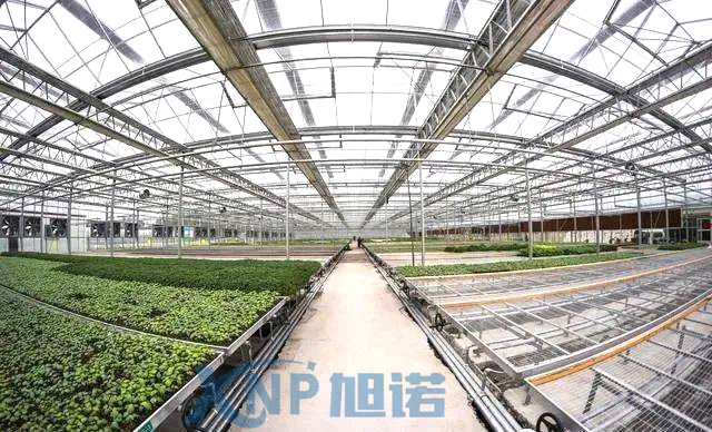 蔬菜温室大棚可以使用铝型材做骨架吗.jpg 蔬菜温室大棚可以使用铝型材做骨架吗.jpg